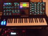 small minimoog EB 3 backlit.jpg