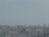 Winter 2009 017.jpg