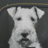 Wirehaired