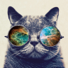 Cat107